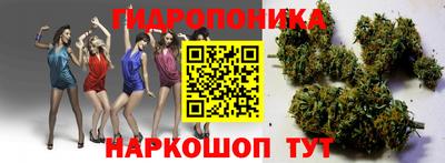 стаф Кунгур