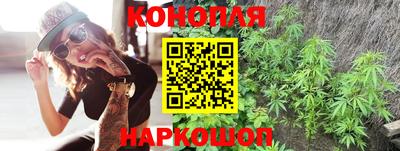 стаф Кунгур
