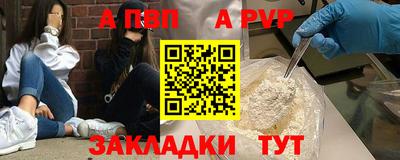 стаф Кунгур