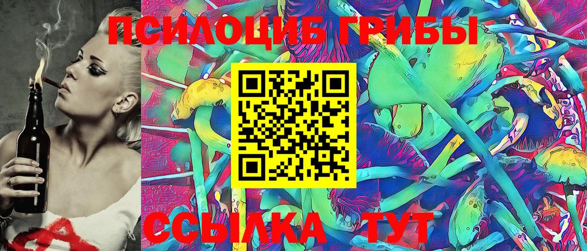Псилоцибиновые грибы GOLDEN TEACHER Котельники