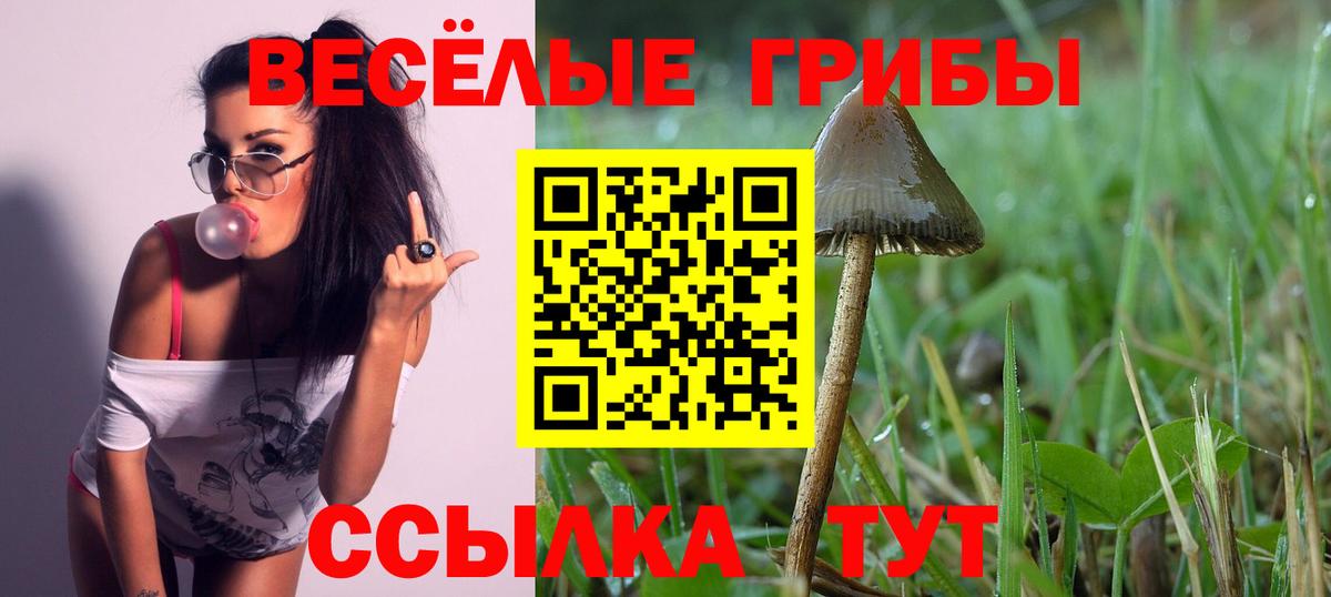 Котельники  Галлюциногенные грибы мицелий  Вход с VPN 